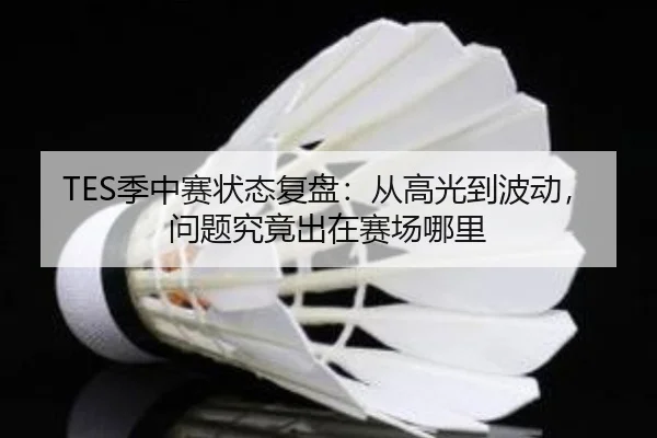 TES季中赛状态复盘：从高光到波动，问题究竟出在赛场哪里（leyu）